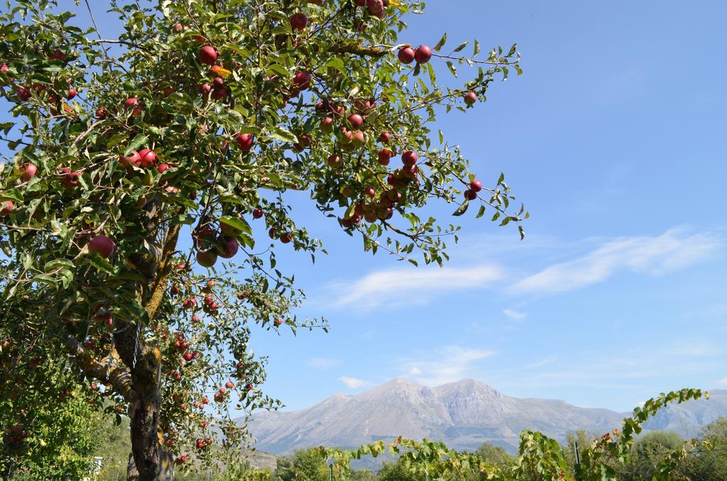 Agriturismo Villa Palentina Scurcola Marsicana Екстериор снимка